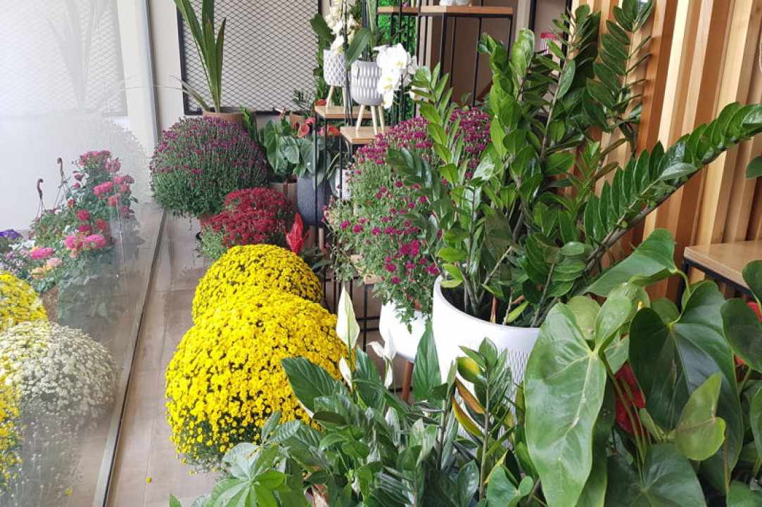 Interview with the owners of Arocaria Flower Shop in Ayia Napa gallery image 2