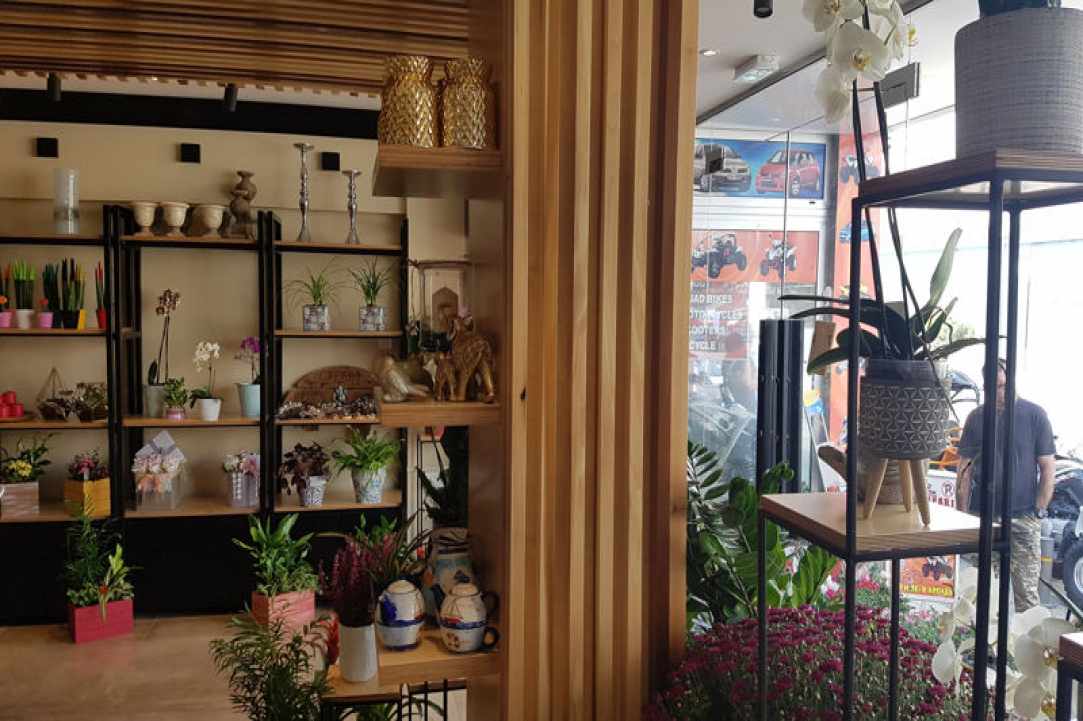 Interview with the owners of Arocaria Flower Shop in Ayia Napa gallery image 4