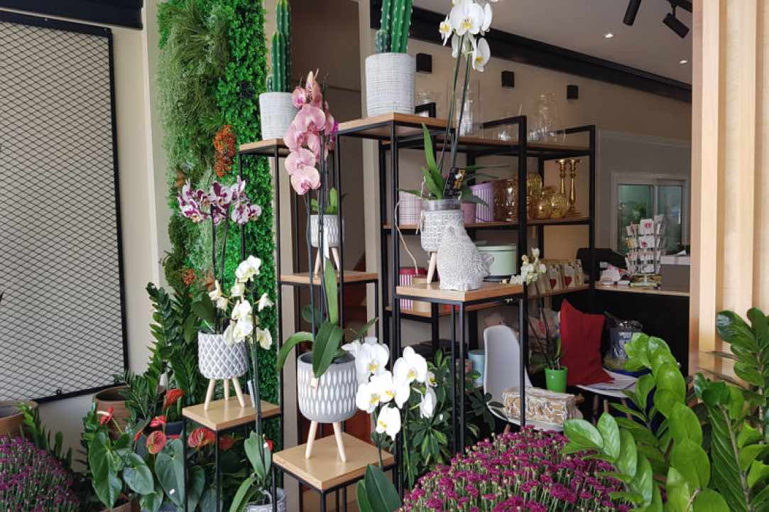 Interview with the owners of Arocaria Flower Shop in Ayia Napa
