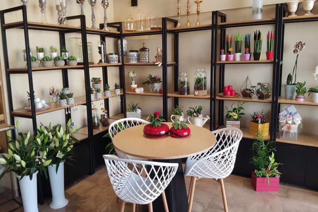 Interview with the owners of Arocaria Flower Shop in Ayia Napa