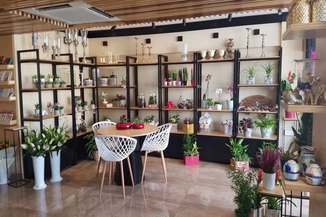 Interview with the owners of Arocaria Flower Shop in Ayia Napa
