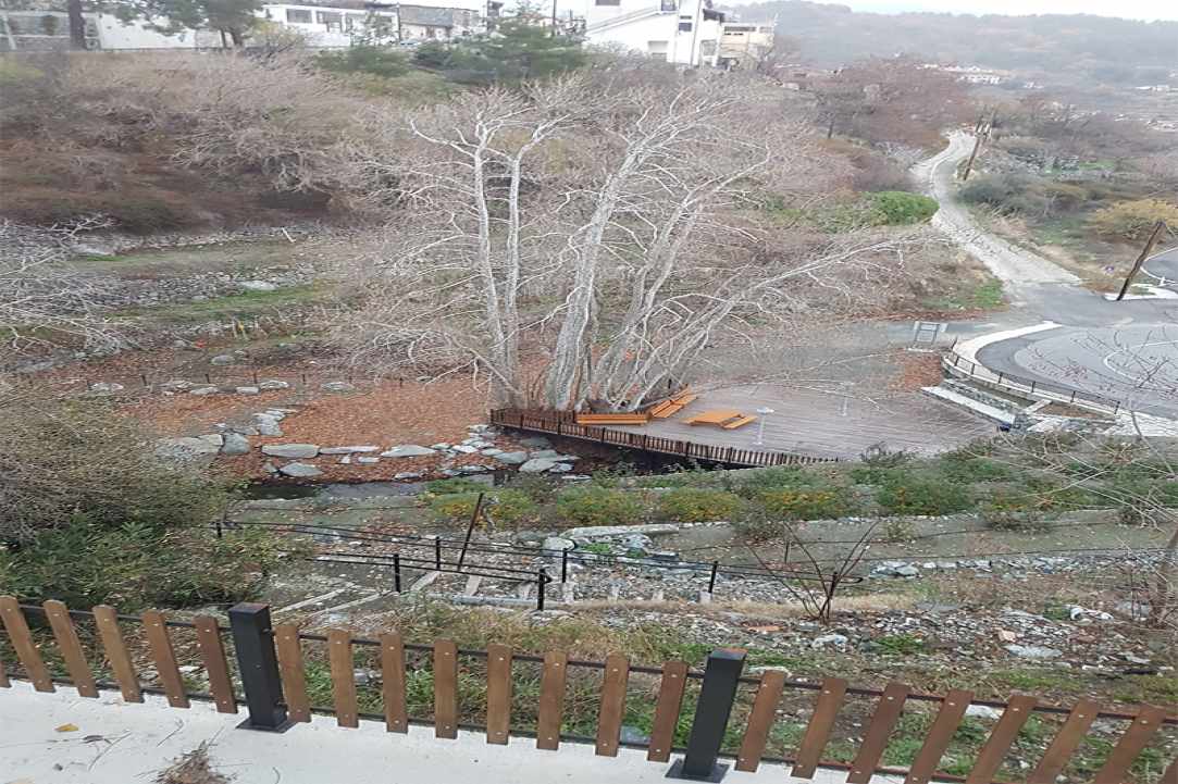 Τελικά τα οργανωμένα πακέτα συμφέρουν