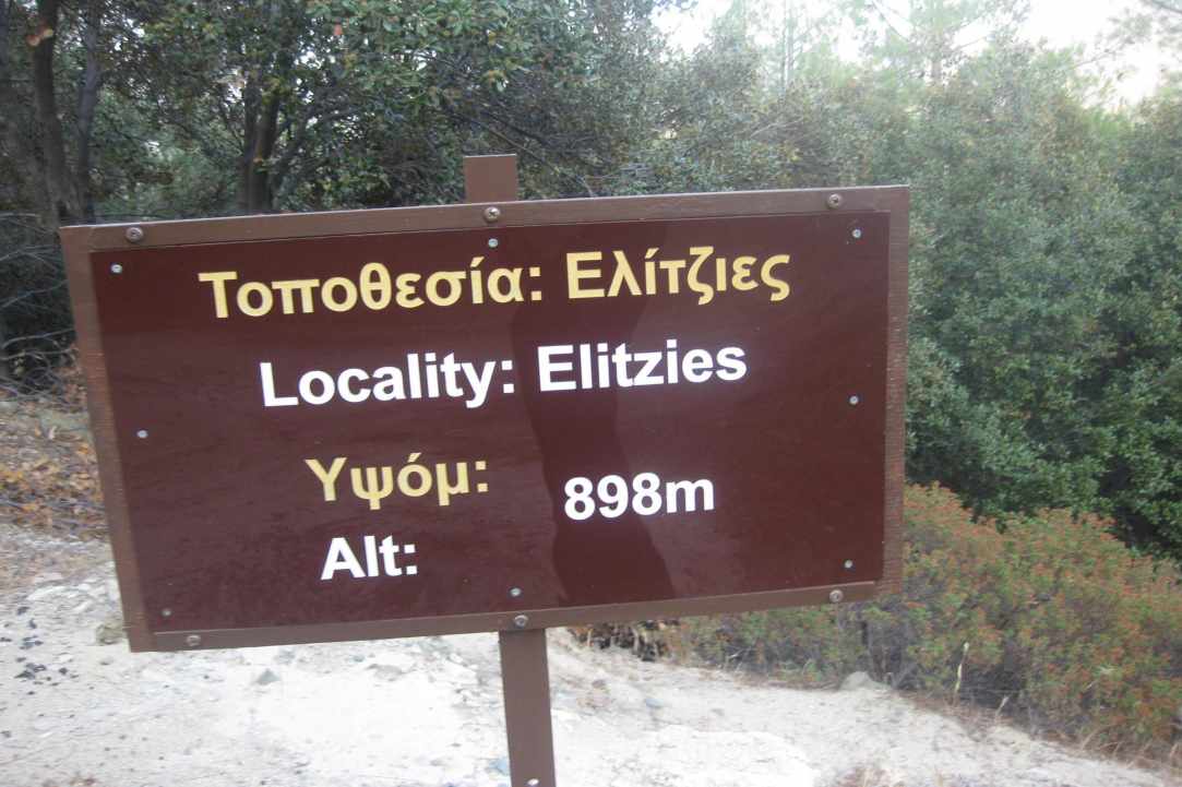 Παναγία Ελιτζιών στη Τσακκίστρα