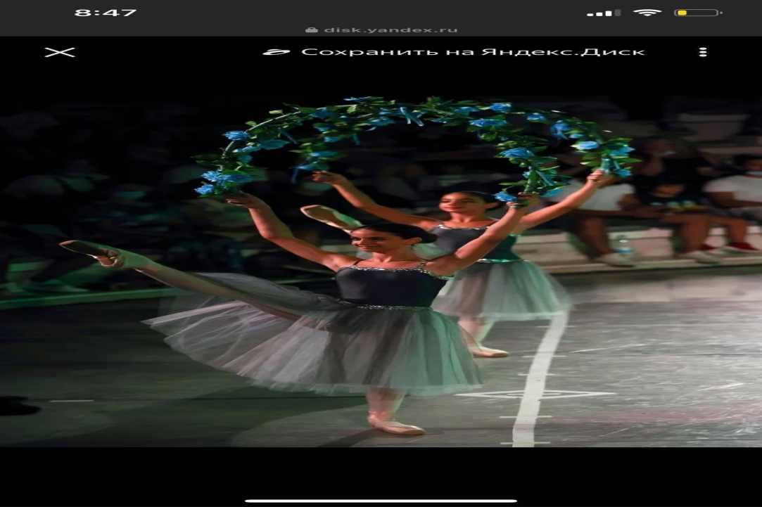 Η παραμυθένια σταχτοπούτα του Art de ballet