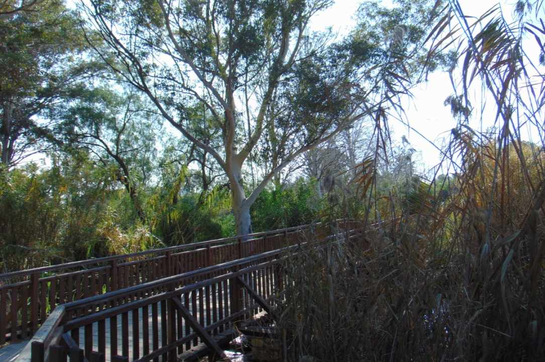 Athalassa Park