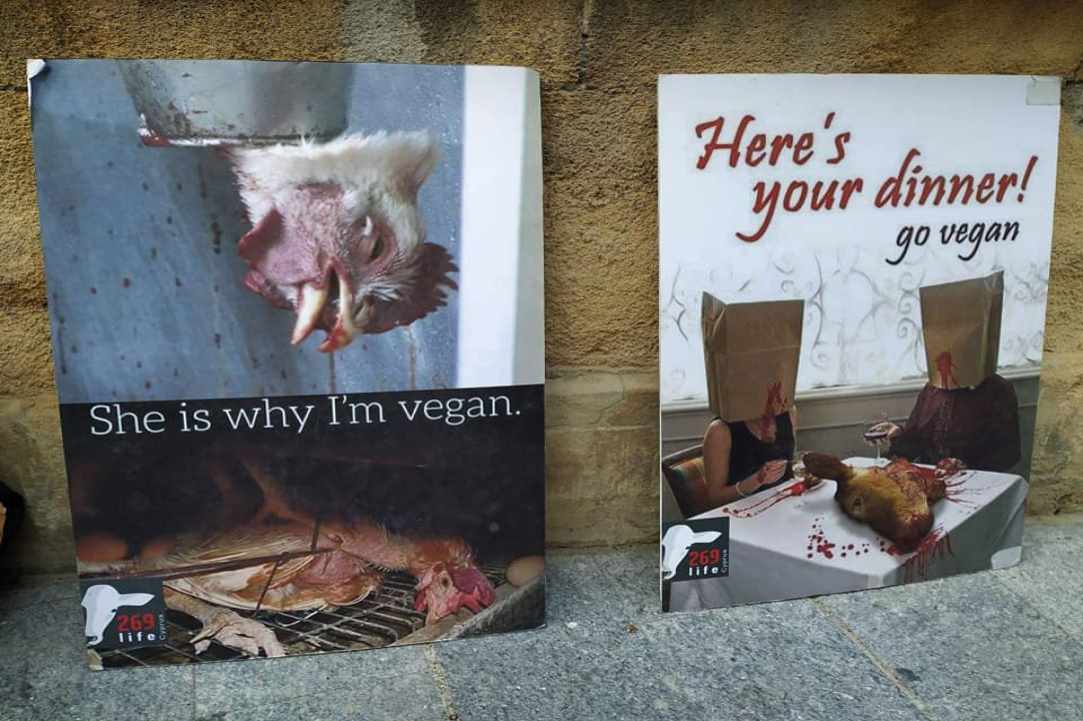 Worldwide Fur Free Friday 23rd, November 2018, Ledras str.  8pm – 10pm 
