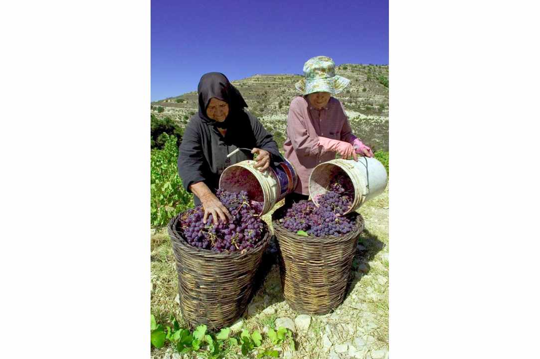 Palouze's feast in Arsos on Sunday 24 September