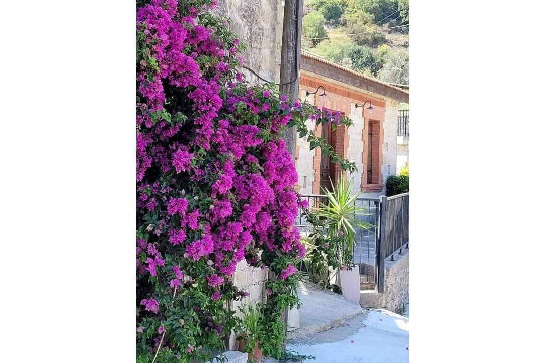 Εκπαιδευτικά Εργαστήρια Χειροτεχνίας στη Δορά
