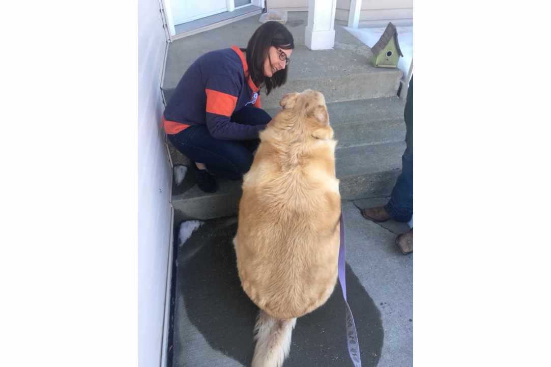Kai, το αξιολάτρευτο σκυλί άρχισε να τρέχει και να πηδά ξανά