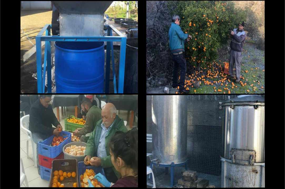 2nd Mandarin Festival -Dierona village
