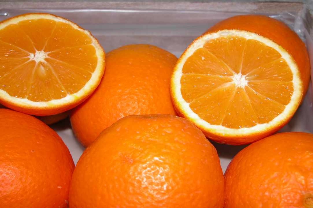 Portokalada (Fresh Homemade Orangeade) 