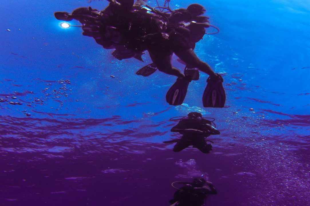 The Alexandria Wreck Cyprus