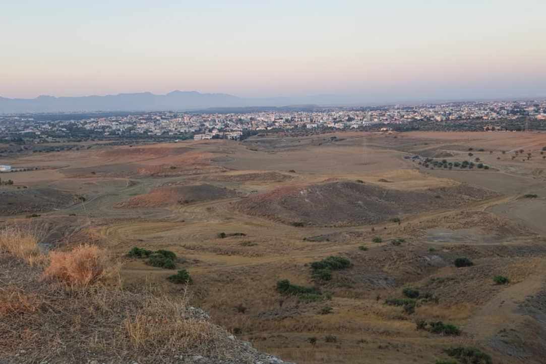 800,000 trees to be planted in the 4 major cities of Cyprus within the next few months