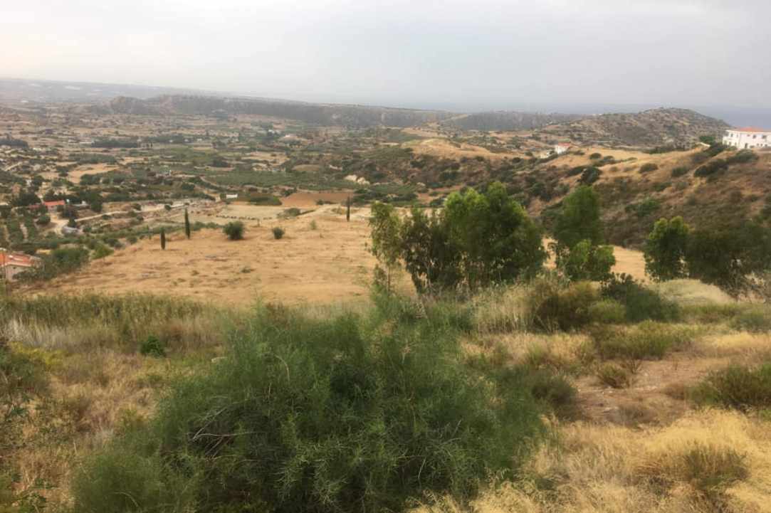 Μικροί & μεγάλοι ενωμένοι για έναν κοινό σκοπό: Να κάνουν τη Λεμεσό πιο πράσινη