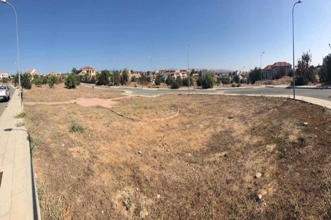 Μικροί & μεγάλοι ενωμένοι για έναν κοινό σκοπό: Να κάνουν τη Λεμεσό πιο πράσινη
