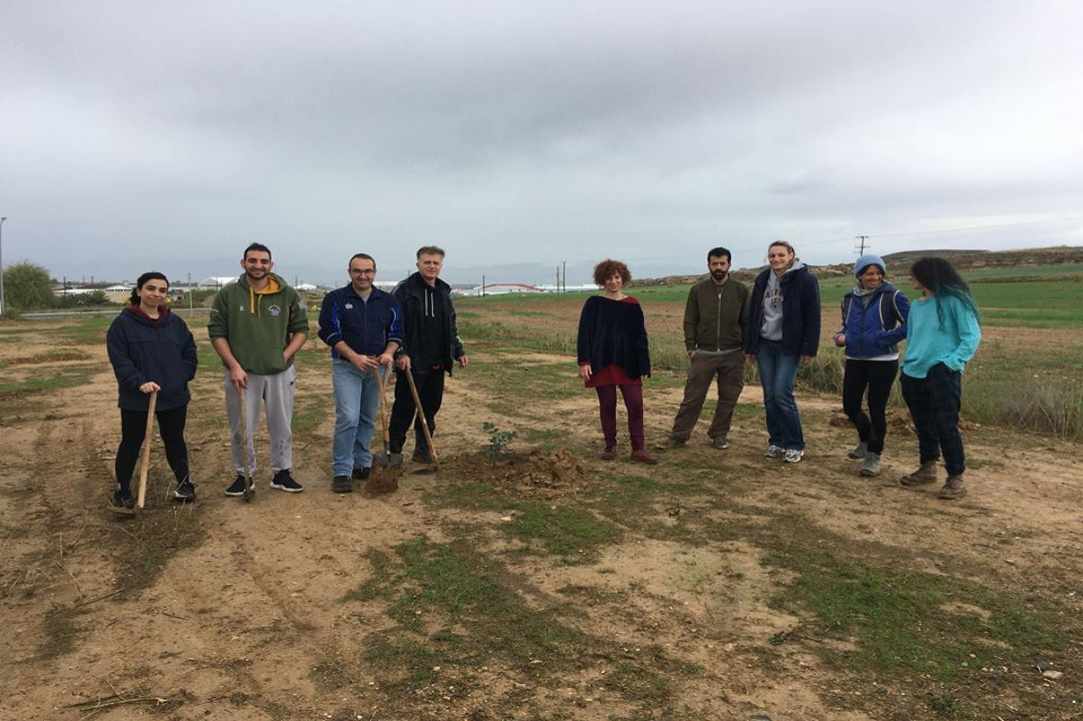 300,000 Trees in Nicosia, 4,722 trees have been planted
