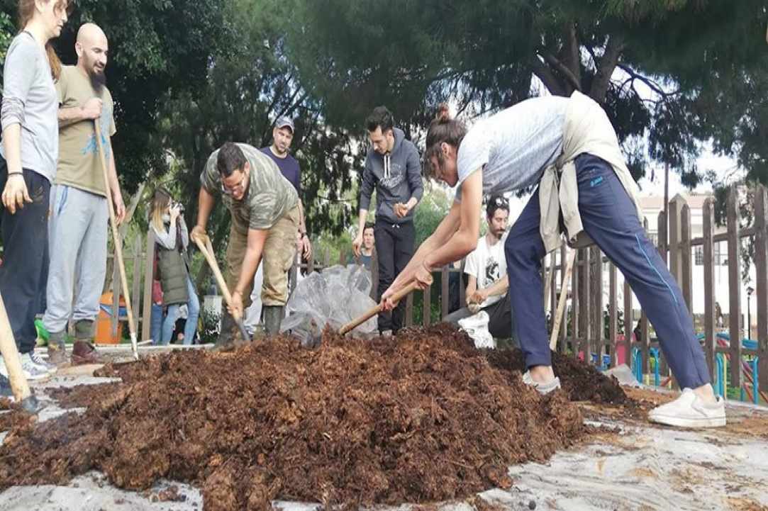 300,000 Trees in Nicosia, 4,722 trees have been planted gallery image 5