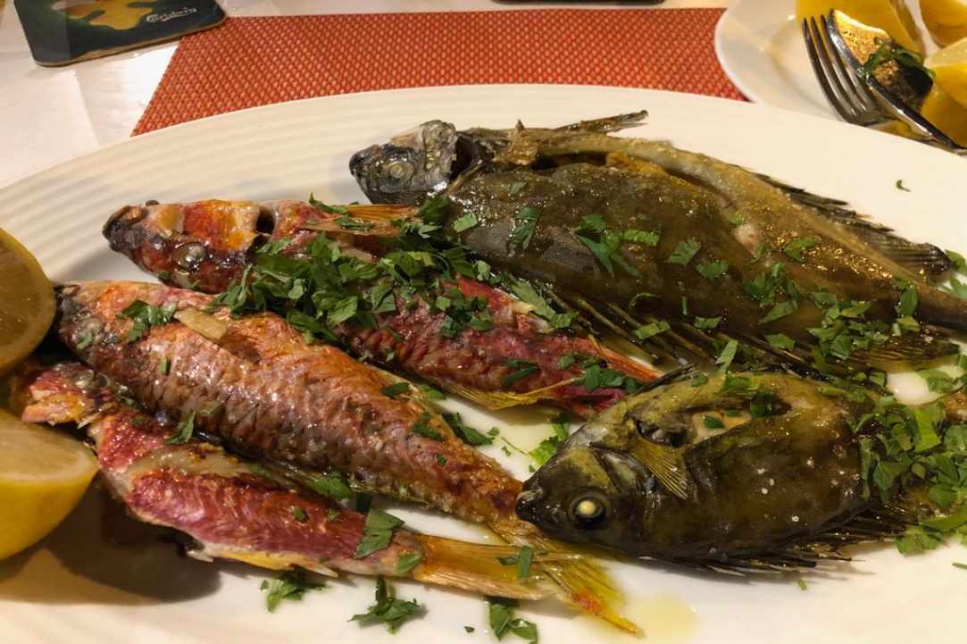 Interview with the owner of Bacchus Bistro Café Restaurant in Pafos