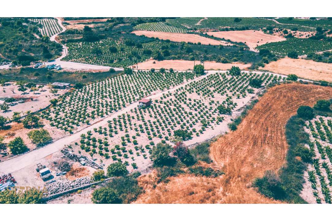 Ancient Wine Ageing Cellar in Pafos