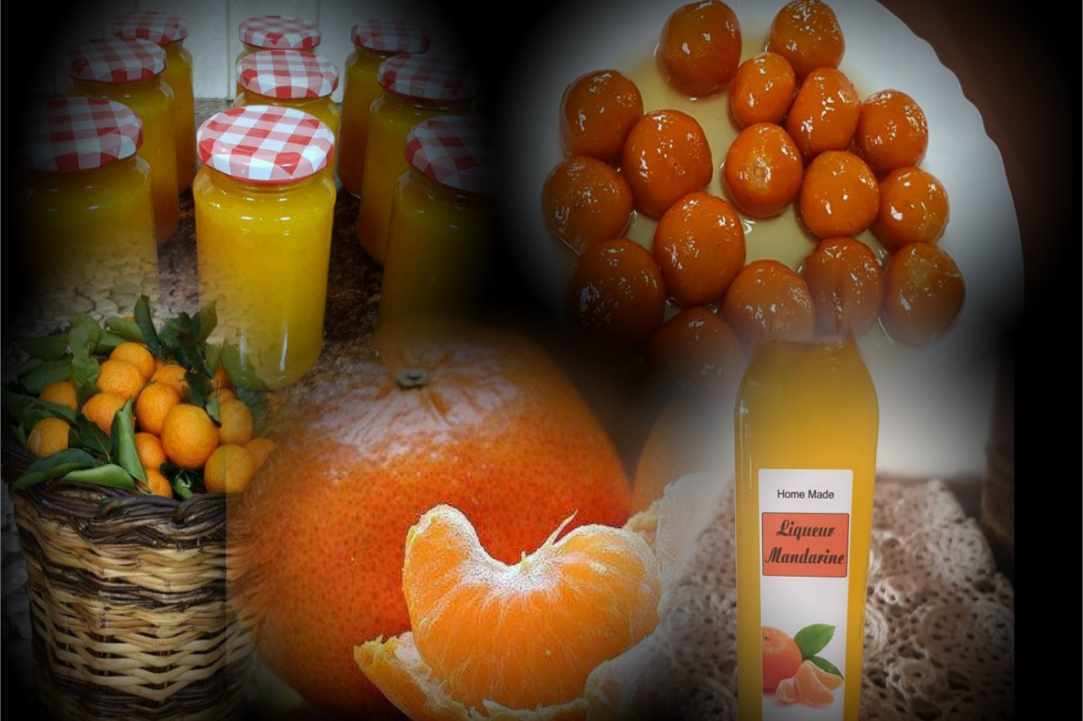3rd Mandarin Festival 2023