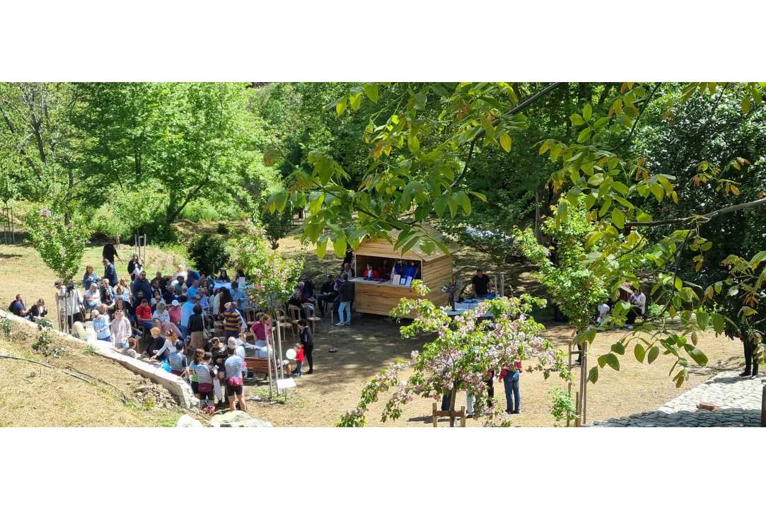 Άνθισε το Πάρκο Ιαπωνικών Κερασιών στον Κάμπο