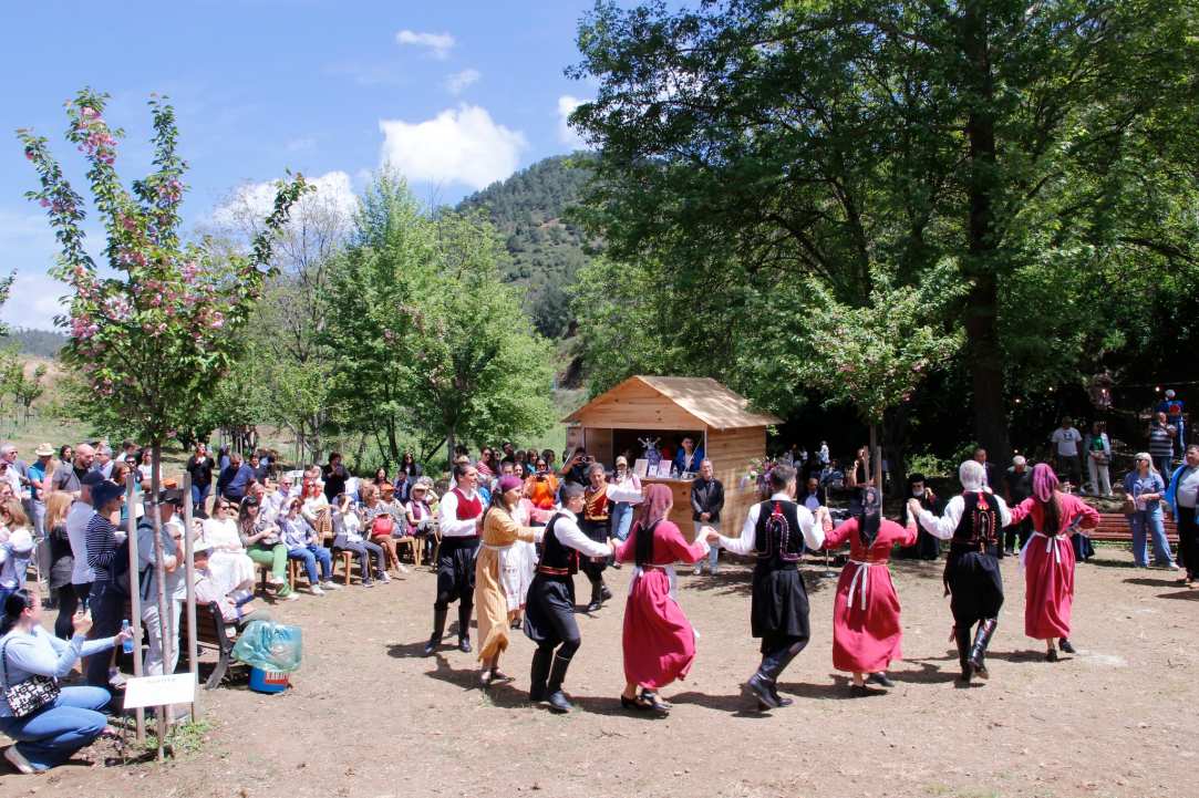 Άνθισε το Πάρκο Ιαπωνικών Κερασιών στον Κάμπο