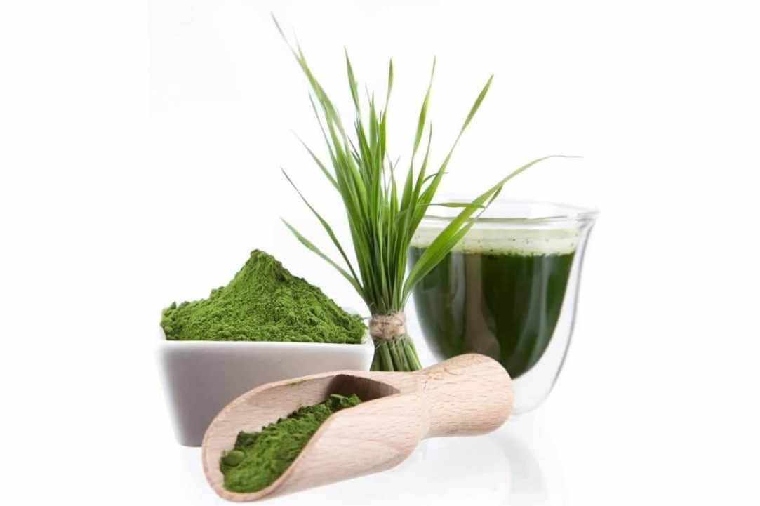Organic Barley Grass  - the new Superfood now in Cyprus!