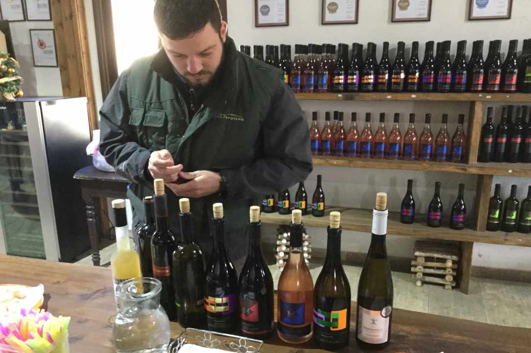 2-day Wine Tour Agros