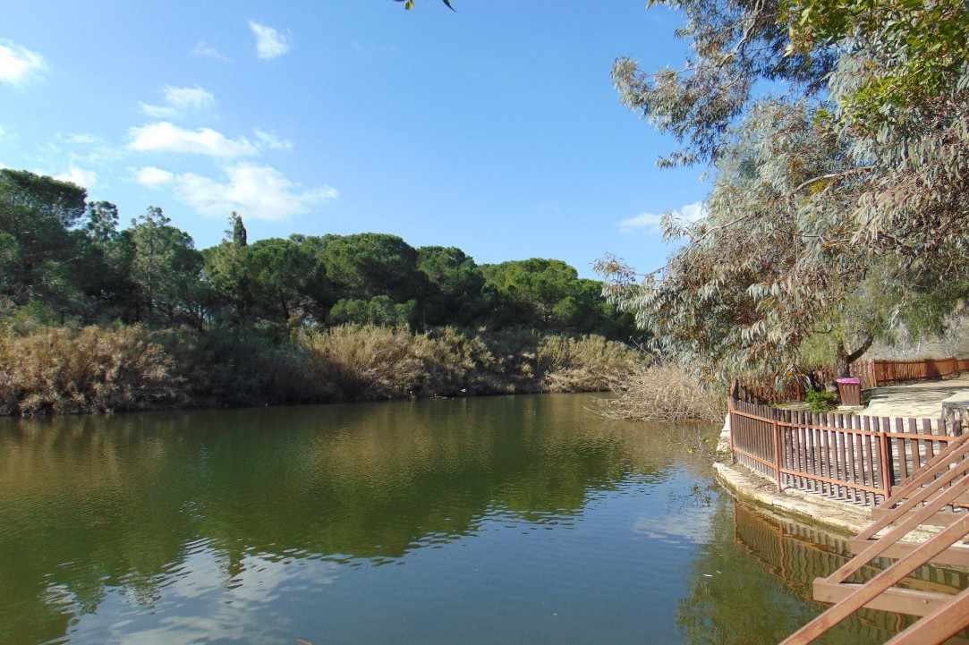 Athalassa Park