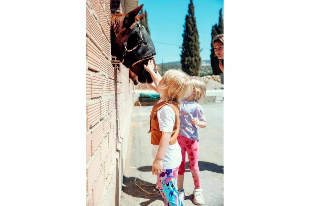 Celebrate an Unforgettable Birthday at George’s Ranch!