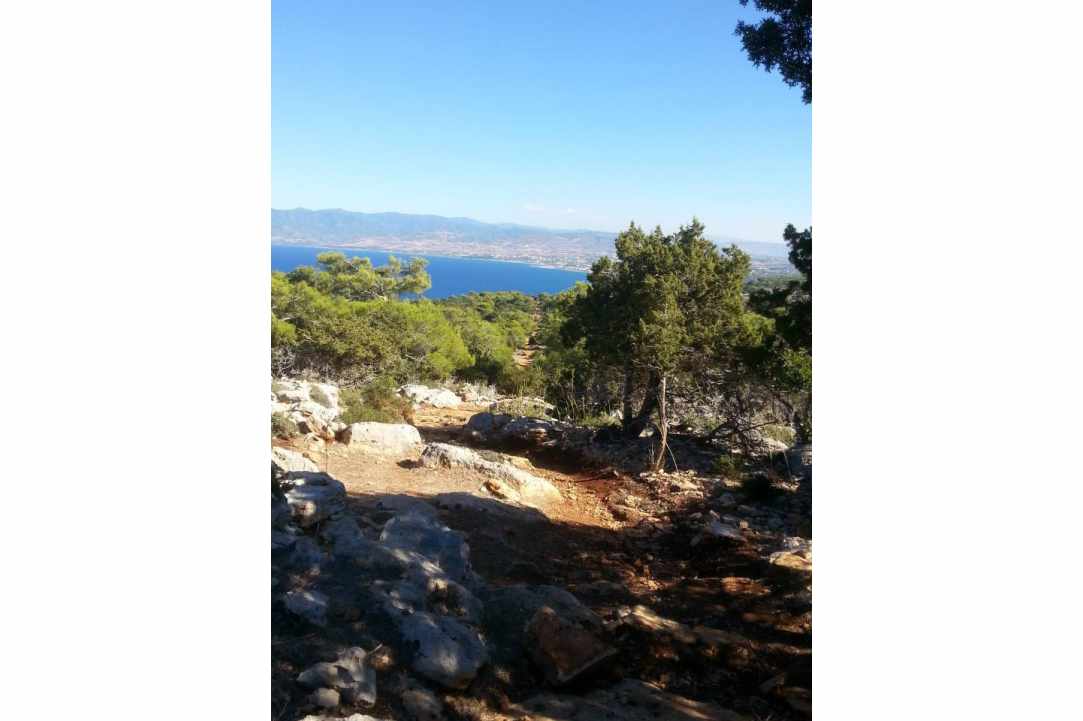 Path of Nature - Aphrodite & Adonis