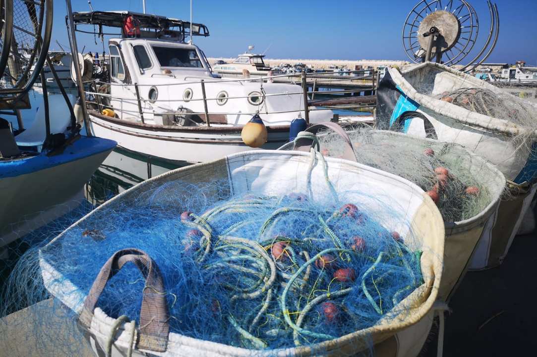 3ο Φεστιβάλ Ψαριού στο Ζύγι