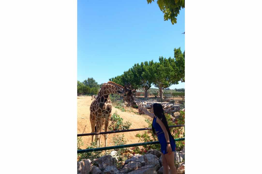 Traveling with Stephania: