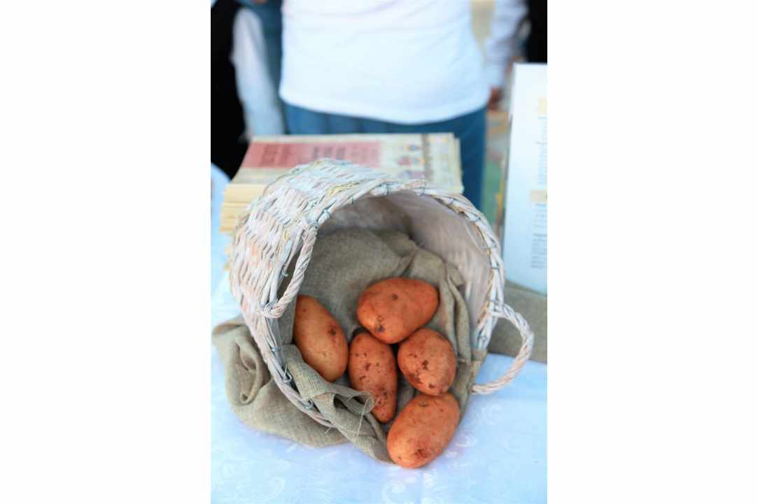 6th Pancyprian Potato Festival