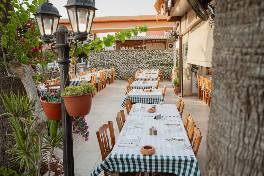 A Taste of Cyprus That Feels Like Home
