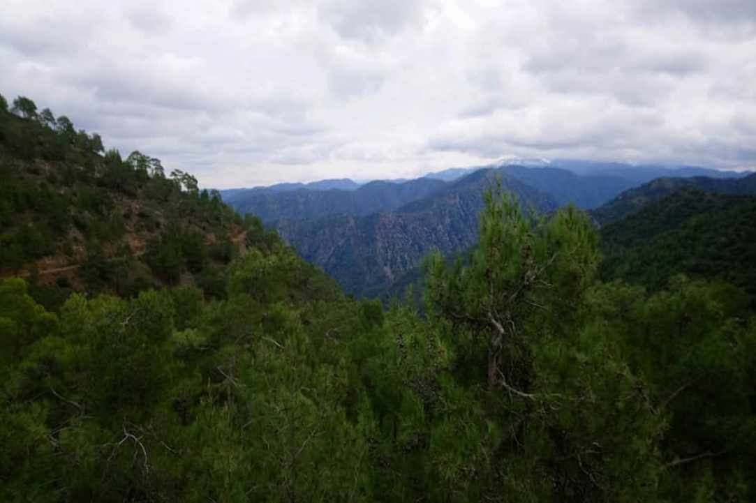 Μουσείο Δασικής Κληρονομιάς Κάμπου