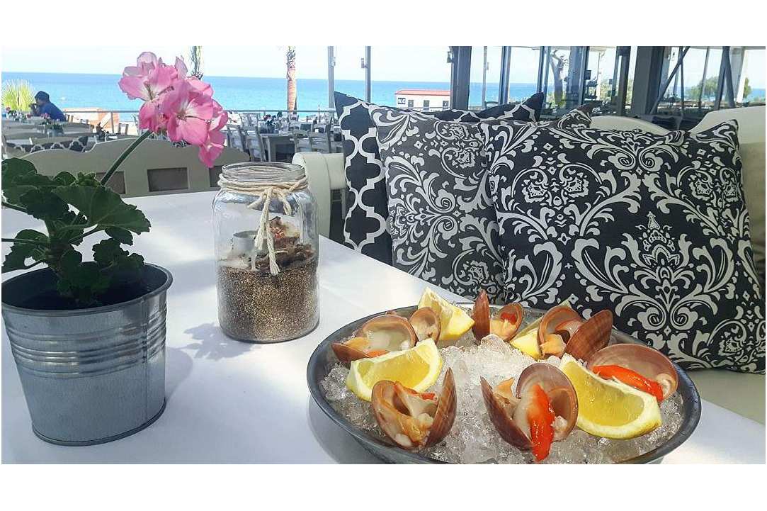 Eating fresh fish right on the beach feels like paradise!