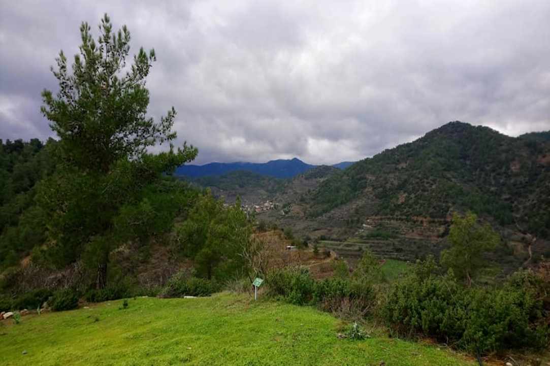 Μουσείο Δασικής Κληρονομιάς Κάμπου