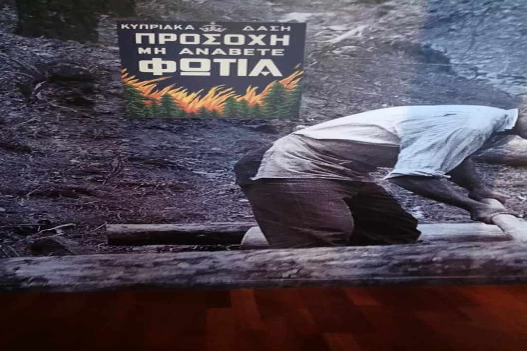 Μουσείο Δασικής Κληρονομιάς Κάμπου