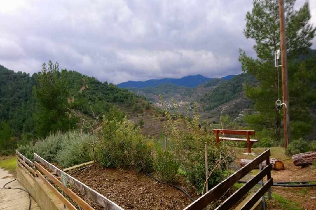 Μουσείο Δασικής Κληρονομιάς Κάμπου
