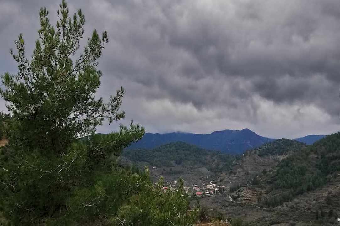 Μουσείο Δασικής Κληρονομιάς Κάμπου