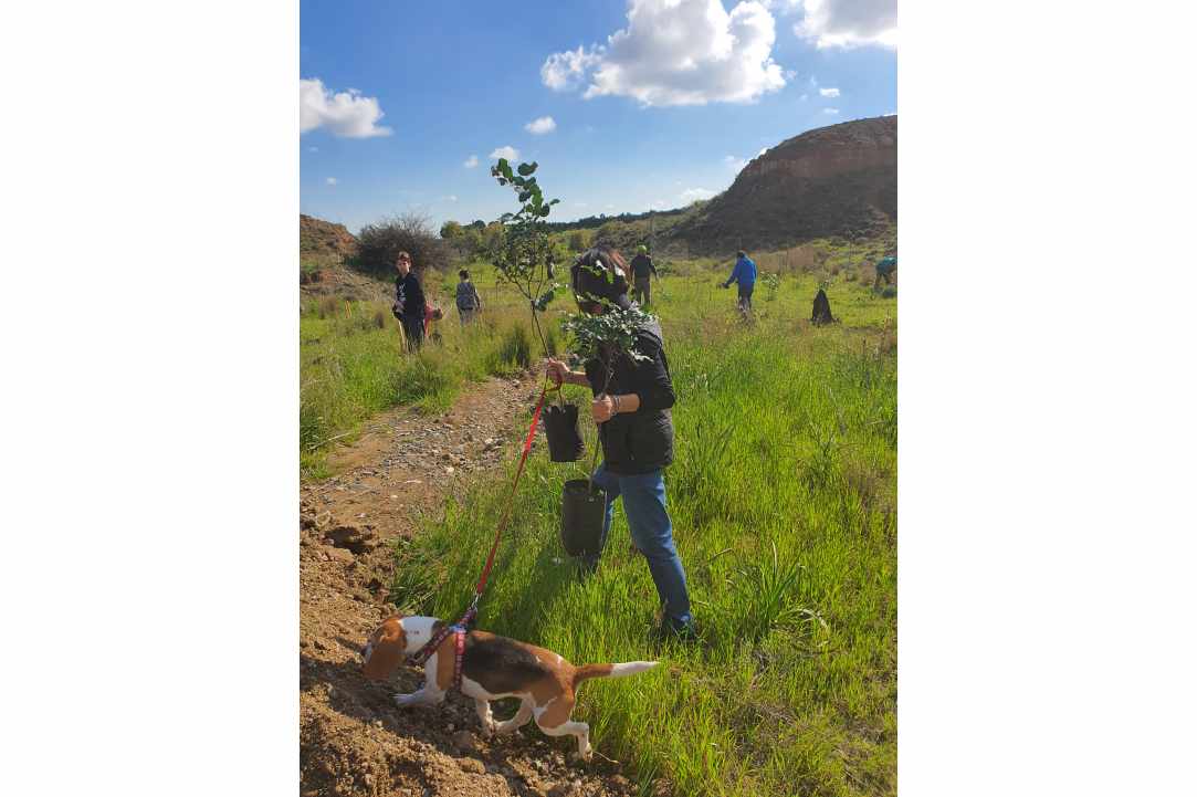 We came again with our shovels in Latsia! Did you?