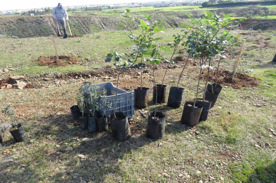 We came again with our shovels in Latsia! Did you?