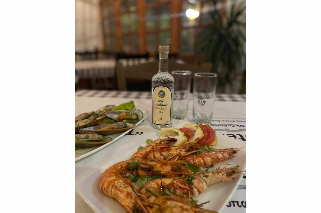 Stenó Mezedopoleío – Ouzerí: Ultimate Taste Escape!