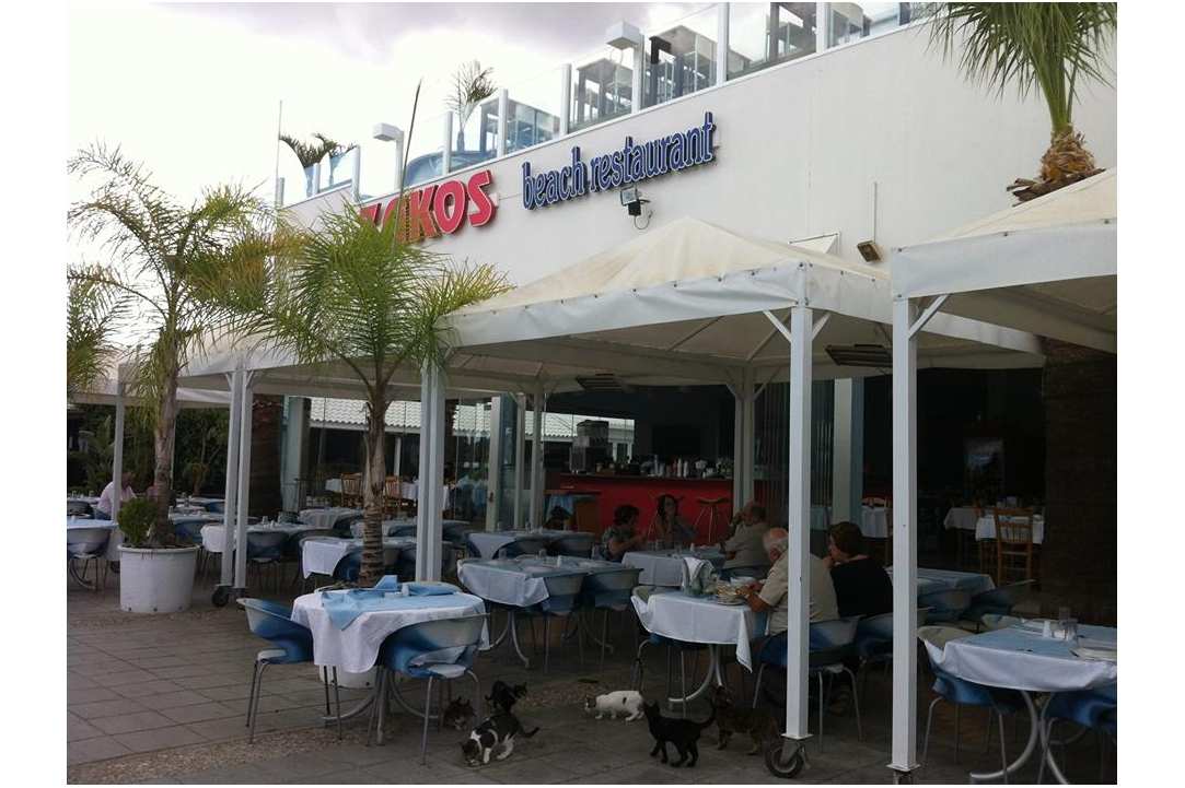 Fresh fish in the heart of Makenzy