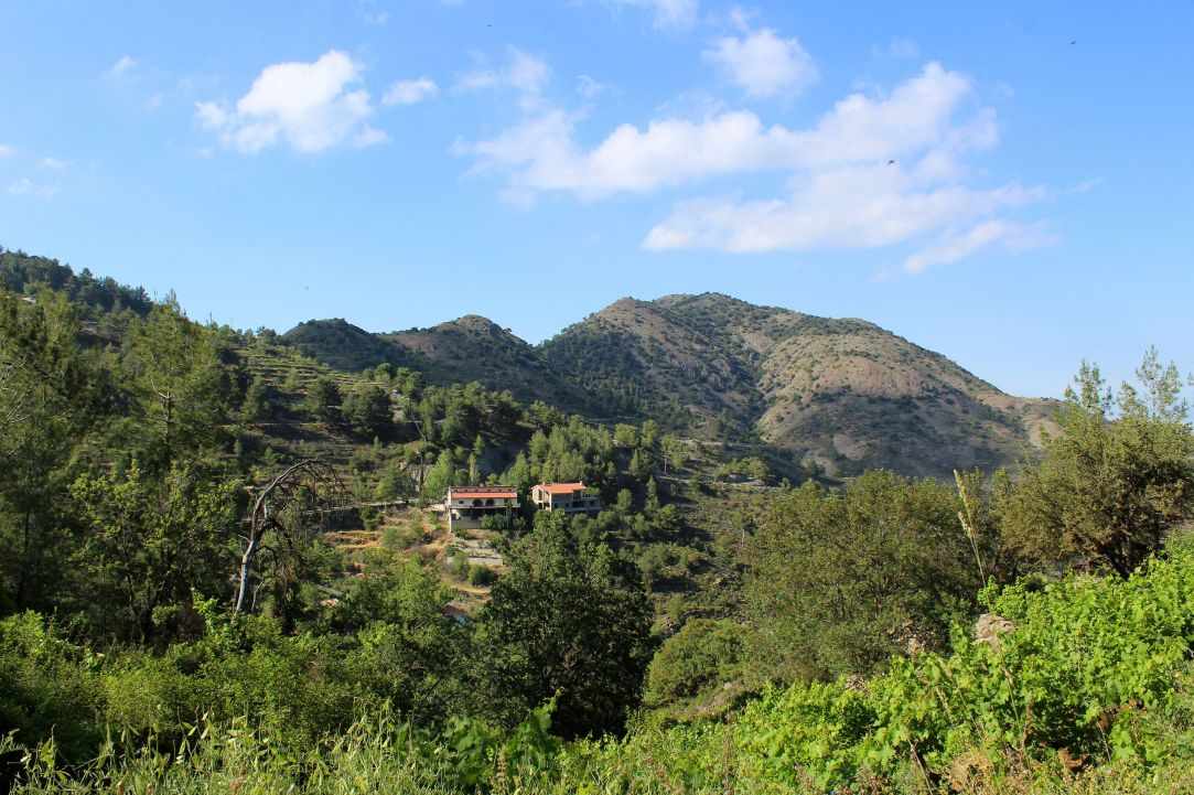 Polistipos Village 