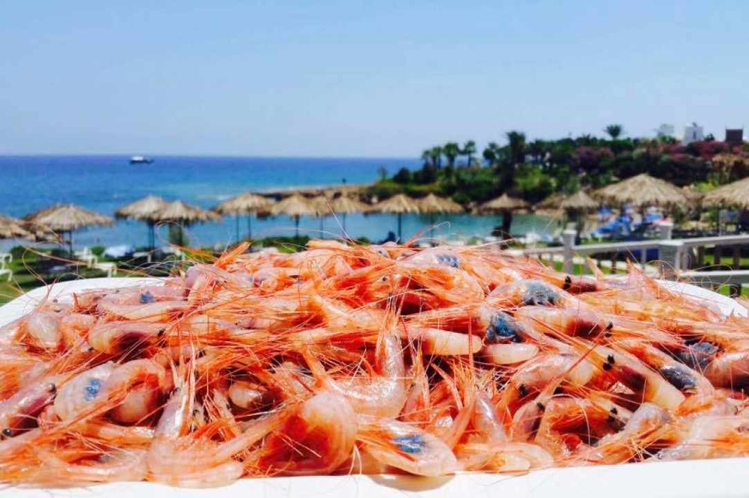 Interview with the owner of Aeyialos Fish Restaurant in Protaras