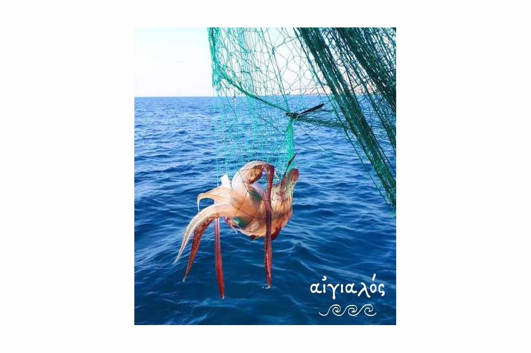 Interview with the owner of Aeyialos Fish Restaurant in Protaras