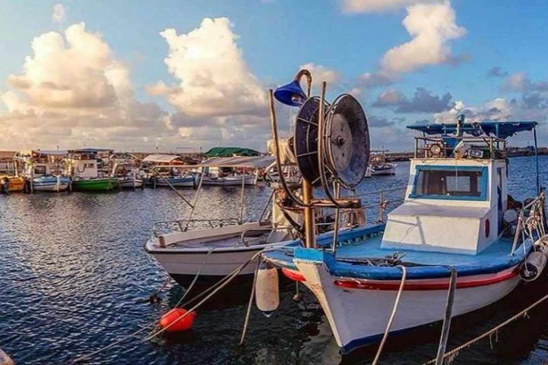 Interview with the owner of Aeyialos Fish Restaurant in Protaras