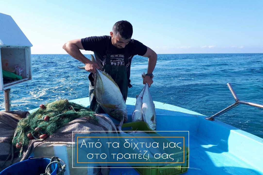 Interview with the owner of Aeyialos Fish Restaurant in Protaras